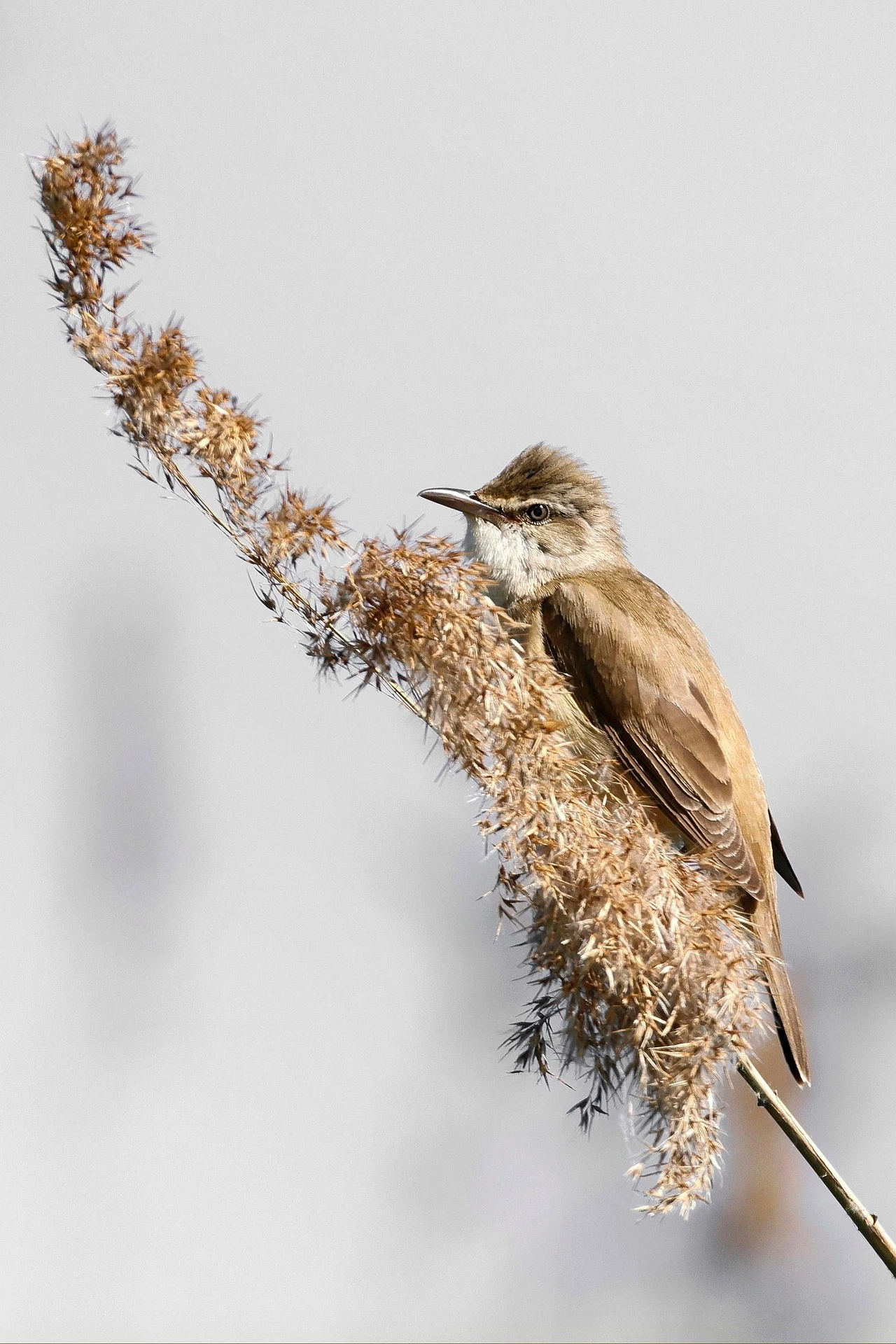 Our vision and mission