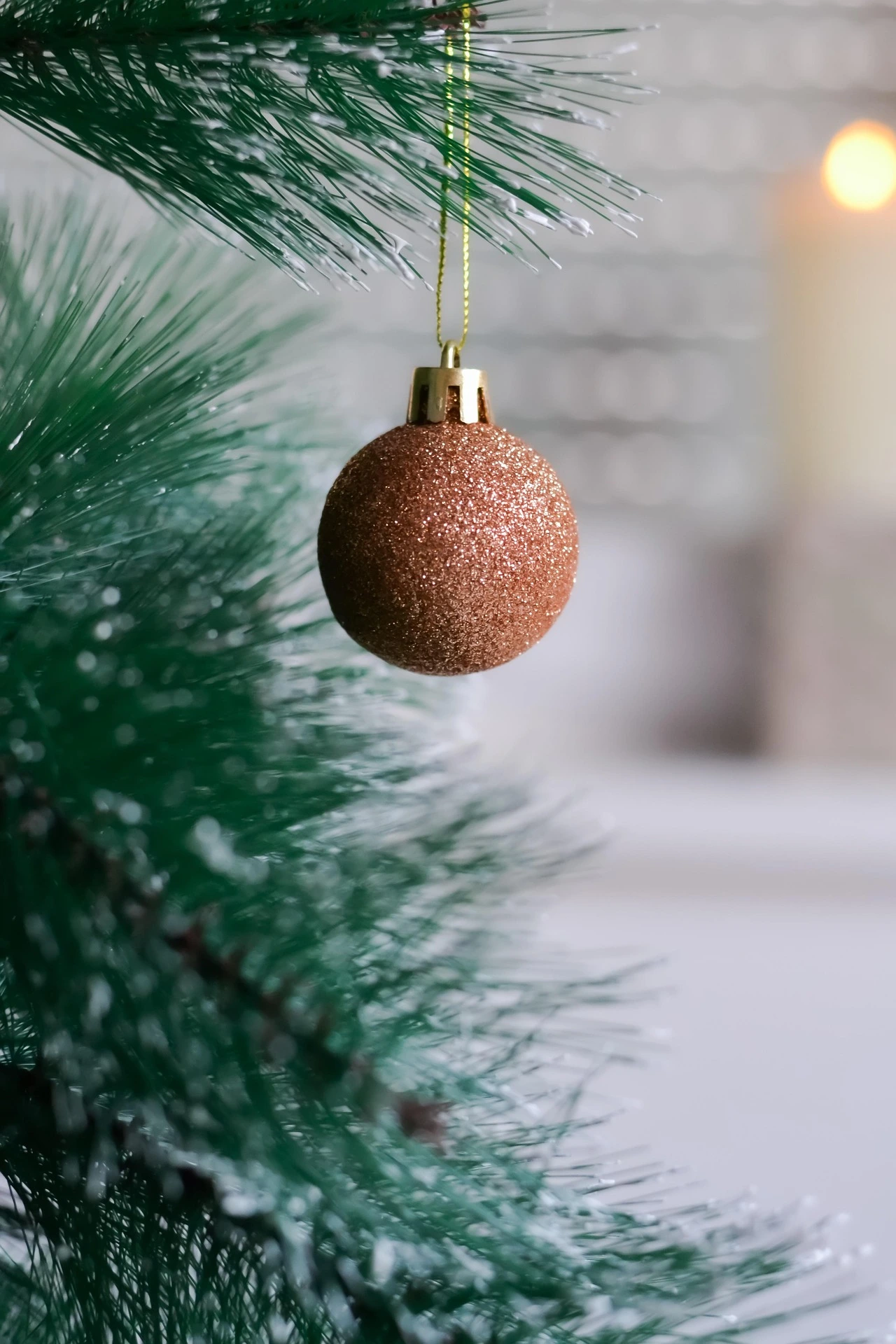 Connect with Limmati